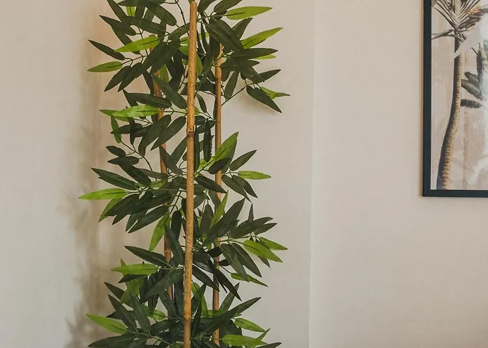 Rose 4 Marvellous 1+1 Cleopatra *