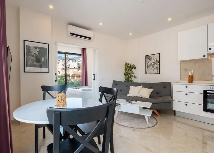 Rose 4 Marvellous 1+1 Cleopatra * אלאניה