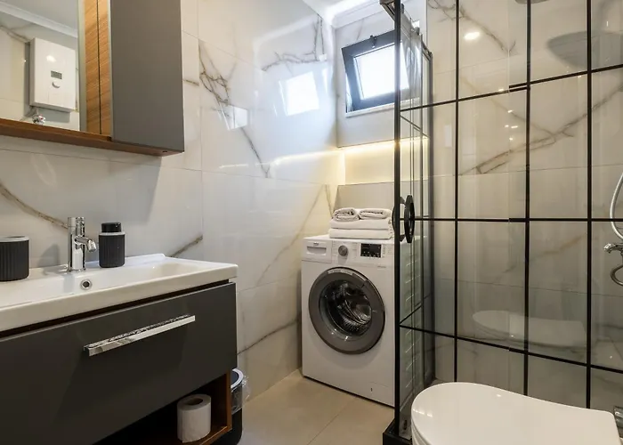 Rose 4 Marvellous 1+1 Cleopatra אלאניה